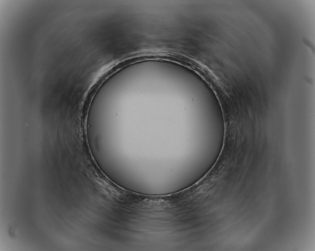 X0000090981168200708301242
