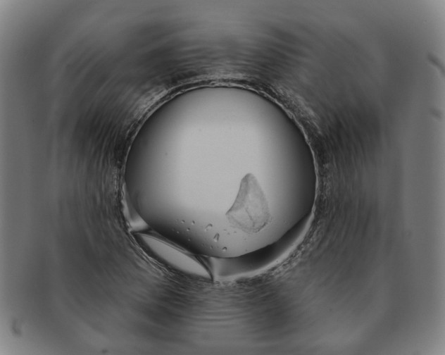 X0000090981169200708301242