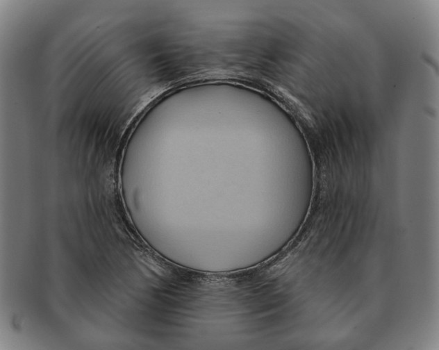 X0000090981170200708301242