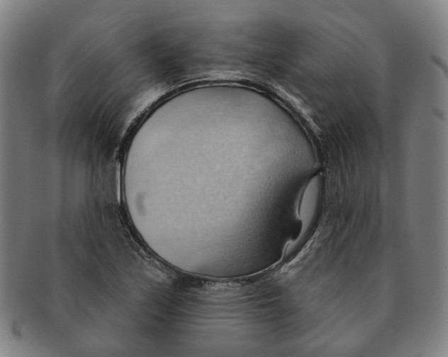 X0000090981171200708301242