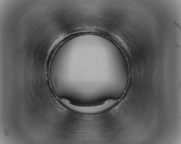 X0000090981172200708301242
