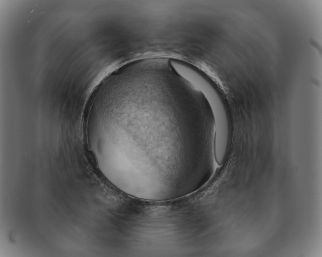 X0000090981173200708301242