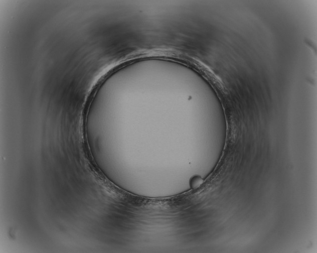 X0000090981174200708301242