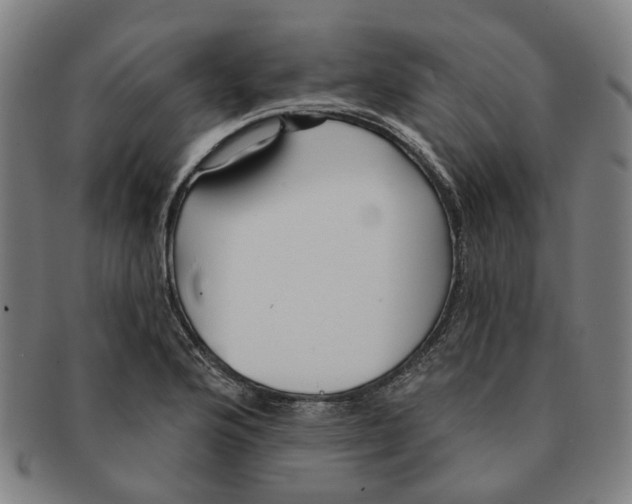 X0000090981176200708301242