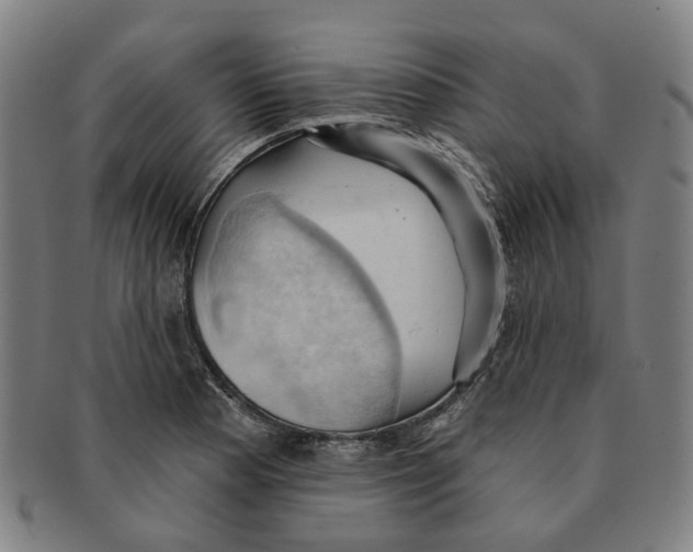 X0000090981177200708301242