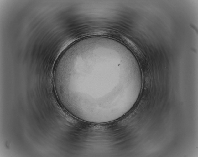 X0000090981178200708301242