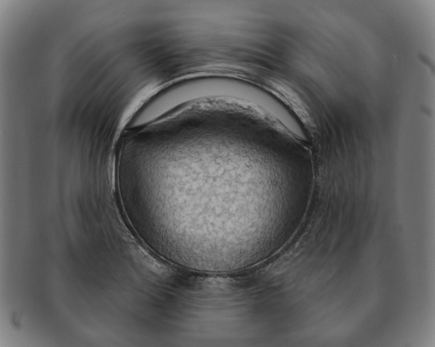 X0000090981180200708301242