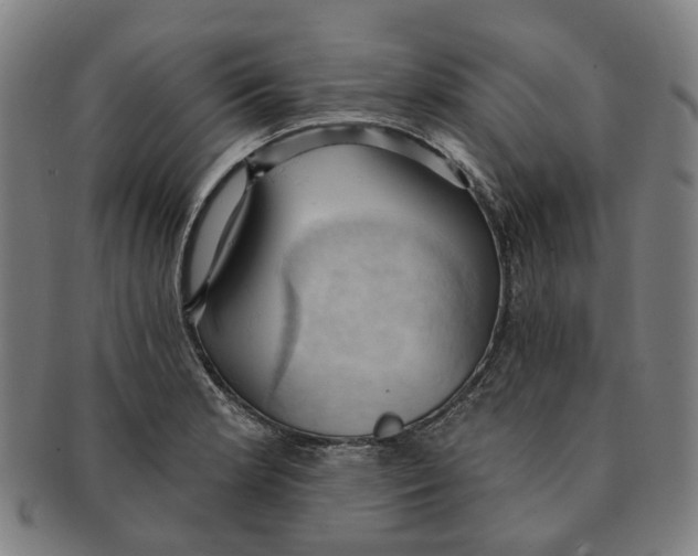 X0000090981181200708301242