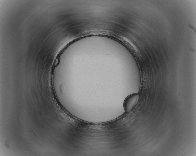 X0000090981182200708301242