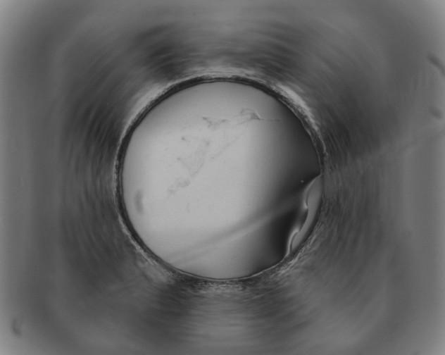 X0000090981183200708301242