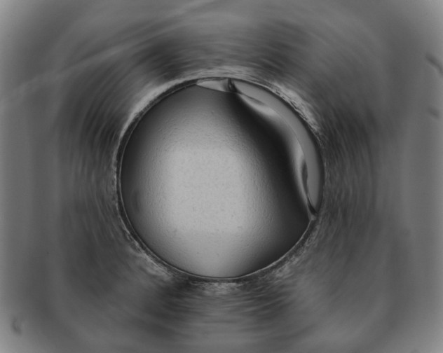 X0000090981184200708301242