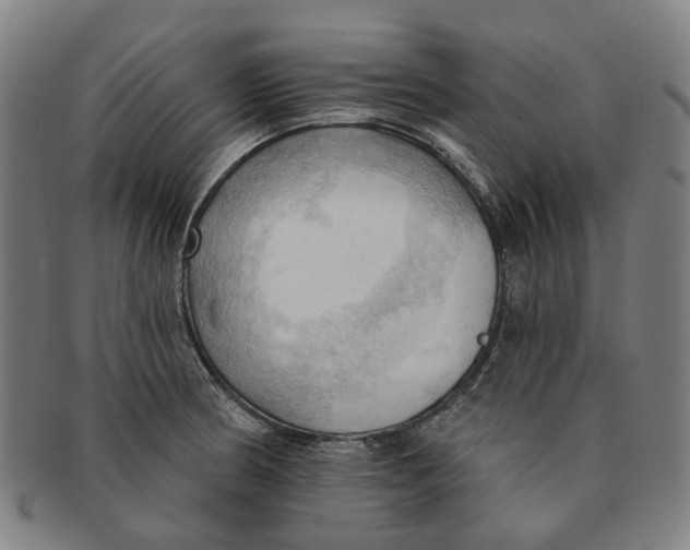 X0000090981186200708301242