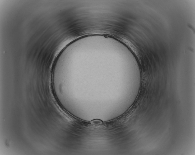 X0000090981187200708301242