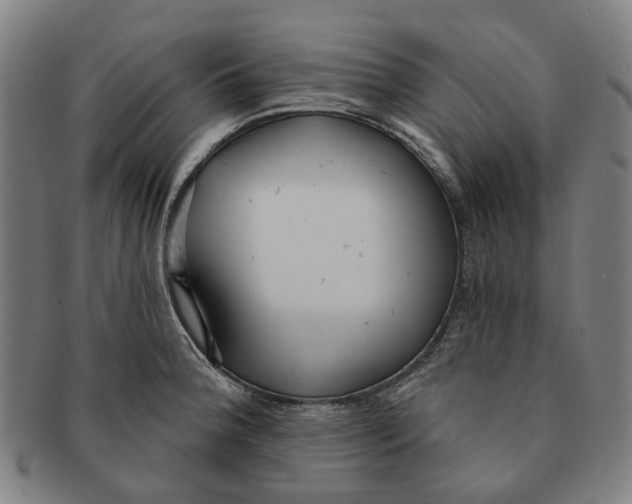 X0000090981188200708301242