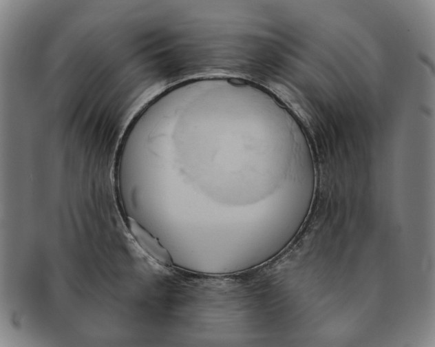 X0000090981189200708301242