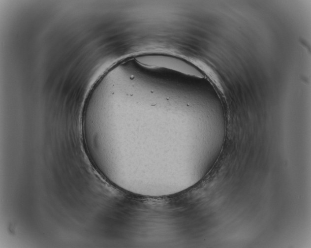 X0000090981191200708301242
