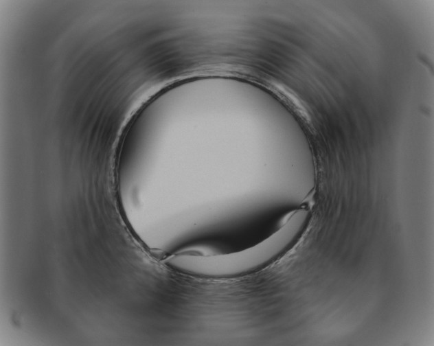 X0000090981192200708301242