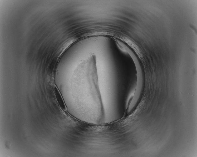X0000090981193200708301242