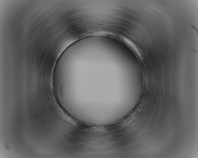 X0000090981194200708301242