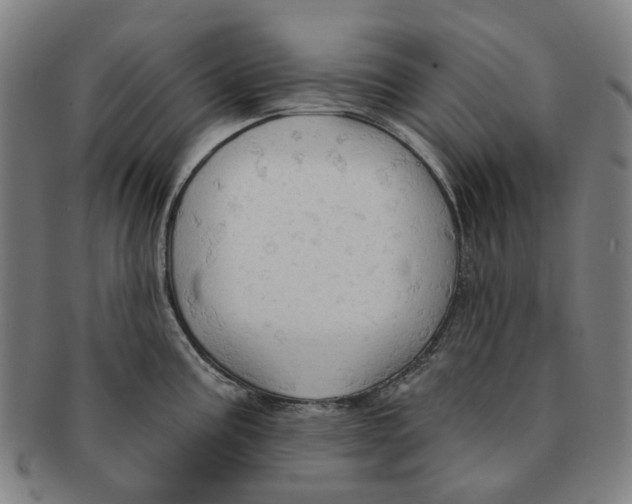 X0000090981195200708301242