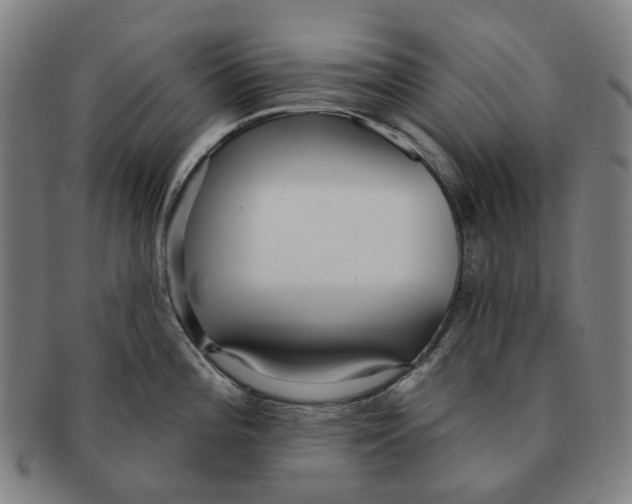 X0000090981196200708301242