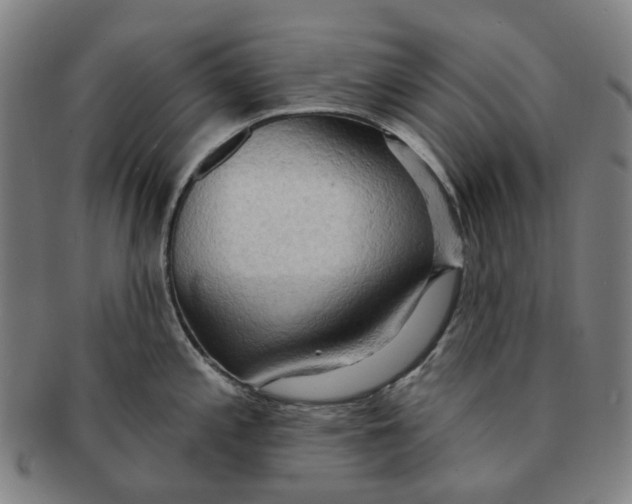 X0000090981197200708301242