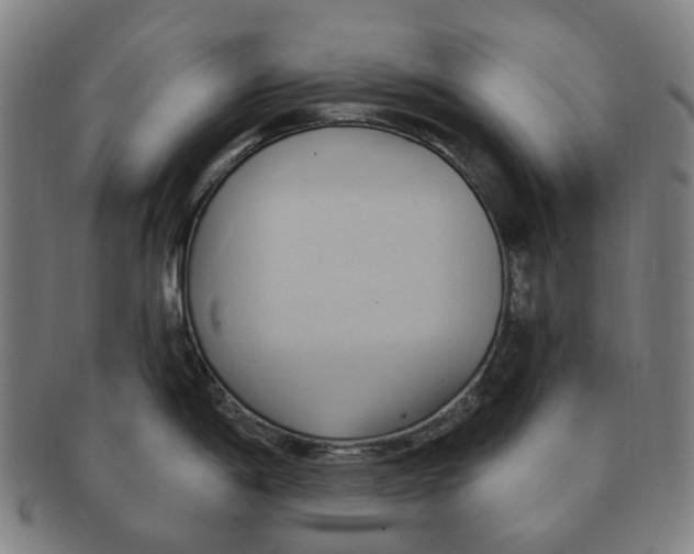 X0000090981198200708301242
