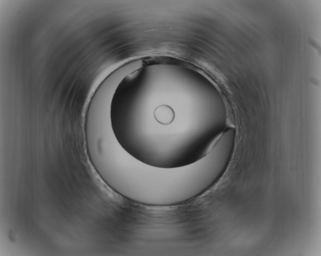 X0000090981200200708301242