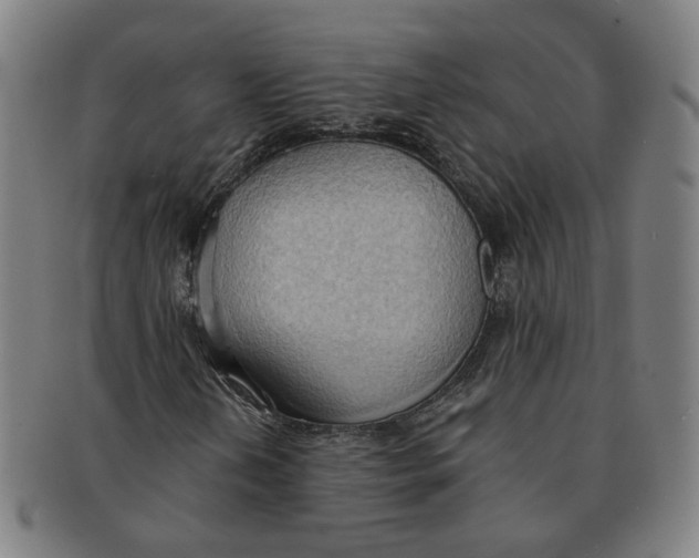 X0000090981202200708301241