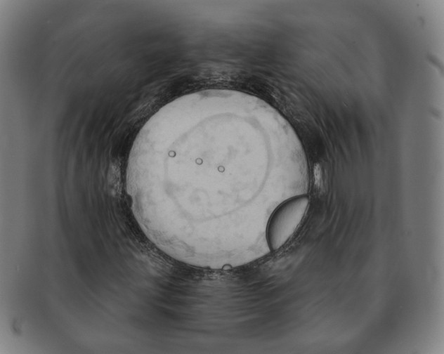 X0000090981203200708301241