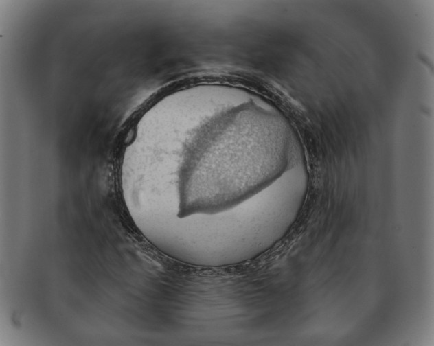 X0000090981208200708301241