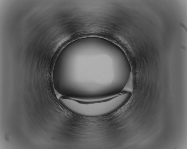 X0000090981210200708301241