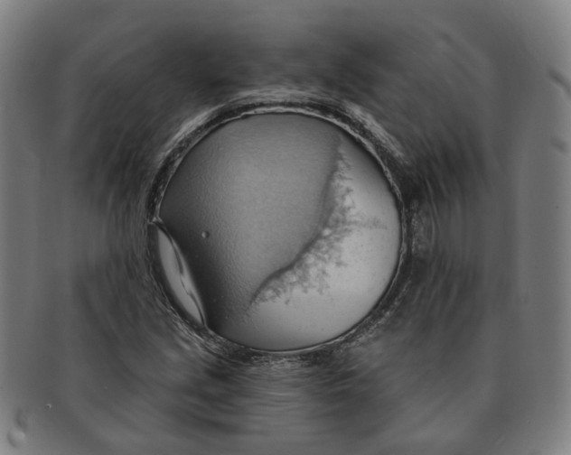 X0000090981213200708301241