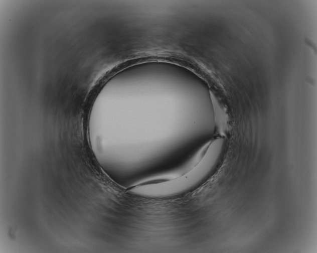 X0000090981214200708301241