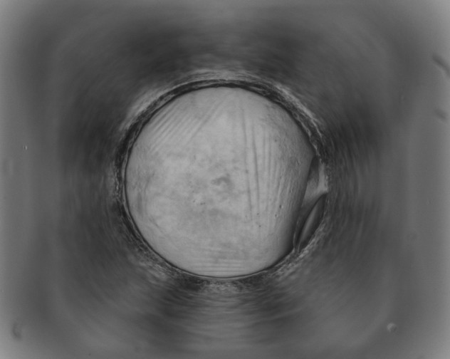 X0000090981215200708301241