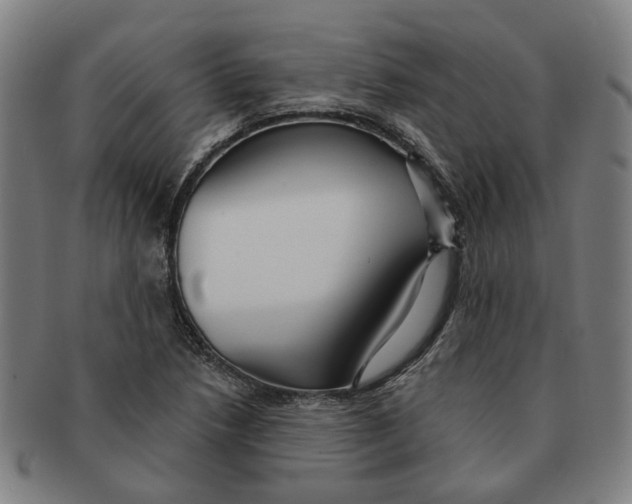 X0000090981218200708301241