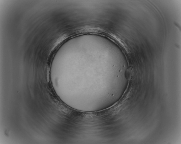 X0000090981219200708301241