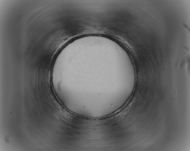 X0000090981220200708301241