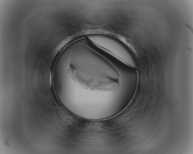 X0000090981221200708301241