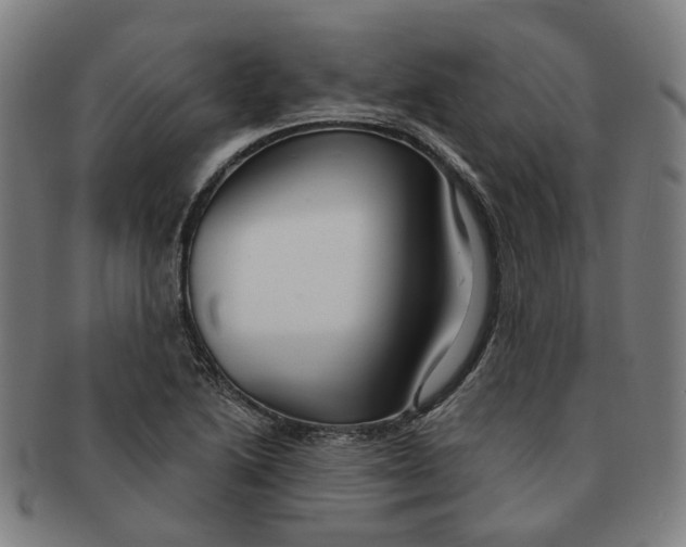 X0000090981222200708301241