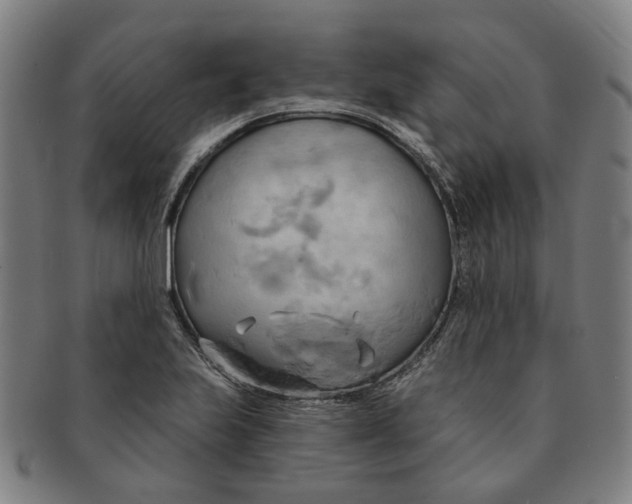 X0000090981223200708301241