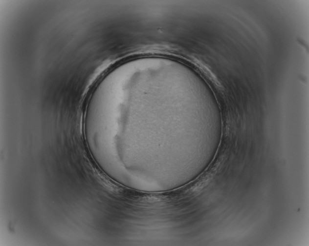 X0000090981224200708301241