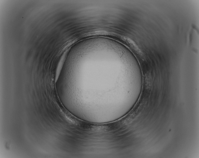 X0000090981225200708301241
