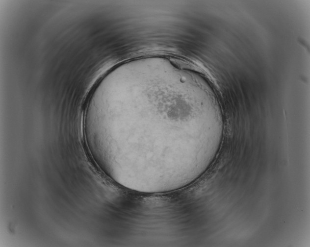 X0000090981227200708301241