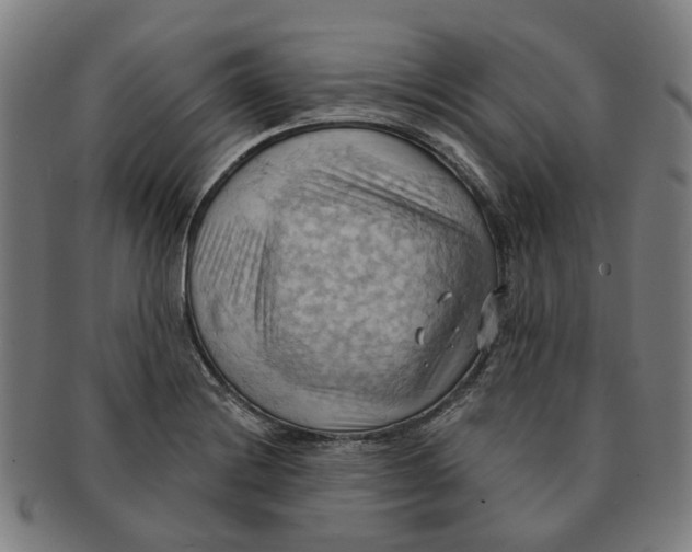 X0000090981228200708301241