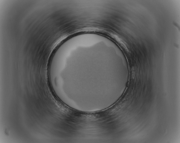 X0000090981229200708301241