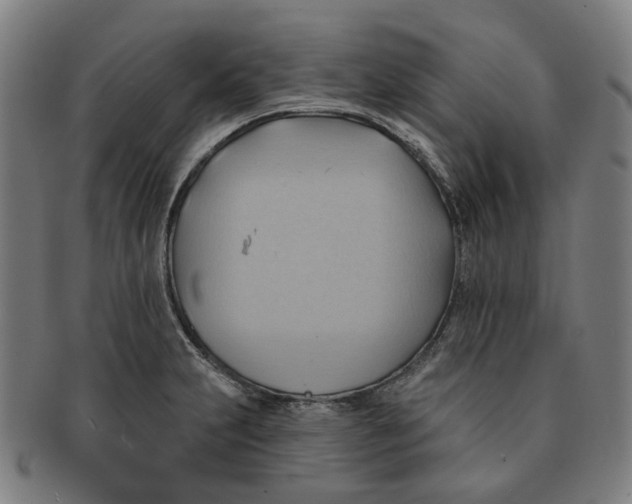 X0000090981231200708301241