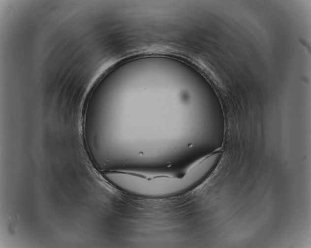 X0000090981232200708301241