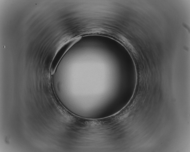 X0000090981234200708301241