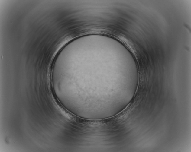 X0000090981235200708301241